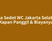 Jasa Sedot WC Jakarta Selatan: Kapan Panggil & Biayanya