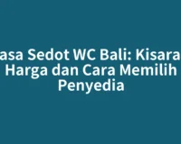 Jasa Sedot WC Bali: Kisaran Harga dan Cara Memilih Penyedia
