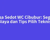 Jasa Sedot WC Cibubur: Segini Biaya dan Tips Pilih Teknisi