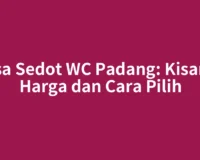 Jasa Sedot WC Padang: Kisaran Harga dan Cara Pilih