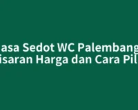 Jasa Sedot WC Palembang: Kisaran Harga dan Cara Pilih