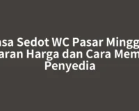 Jasa Sedot WC Pasar Minggu: Kisaran Harga dan Cara Memilih Penyedia