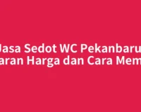 Jasa Sedot WC Pekanbaru: Kisaran Harga dan Cara Memilih