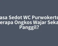 Jasa Sedot WC Purwokerto, Berapa Ongkos Wajar Sekali Panggil?