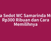 Jasa Sedot WC Samarinda Mulai Rp300 Ribuan dan Cara Memilihnya
