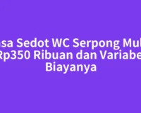 Jasa Sedot WC Serpong Mulai Rp350 Ribuan dan Variabel Biayanya