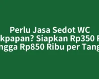 Perlu Jasa Sedot WC Balikpapan? Siapkan Rp350 Ribu hingga Rp850 Ribu per Tangki