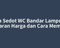 Jasa Sedot WC Bandar Lampung: Kisaran Harga dan Cara Memilih