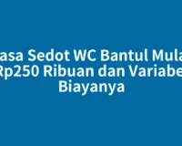 Jasa Sedot WC Bantul Mulai Rp250 Ribuan dan Variabel Biayanya