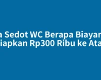 Jasa Sedot WC Berapa Biayanya? Siapkan Rp300 Ribu ke Atas