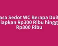 Jasa Sedot WC Berapa Duit? Siapkan Rp300 Ribu hingga Rp800 Ribu