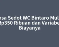 Jasa Sedot WC Bintaro Mulai Rp350 Ribuan dan Variabel Biayanya