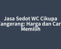 Jasa Sedot WC Cikupa Tangerang: Harga dan Cara Memilih