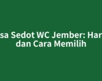 Jasa Sedot WC Jember: Harga dan Cara Memilih