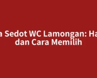 Jasa Sedot WC Lamongan: Harga dan Cara Memilih