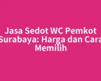 Jasa Sedot WC Pemkot Surabaya: Harga dan Cara Memilih
