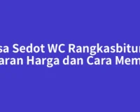 Jasa Sedot WC Rangkasbitung: Kisaran Harga dan Cara Memilih