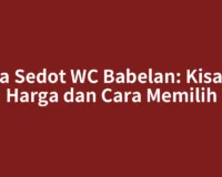 Jasa Sedot WC Babelan: Kisaran Harga dan Cara Memilih