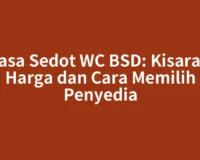 Jasa Sedot WC BSD: Kisaran Harga dan Cara Memilih Penyedia