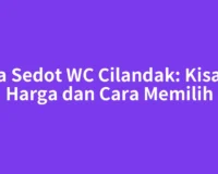 Jasa Sedot WC Cilandak: Kisaran Harga dan Cara Memilih