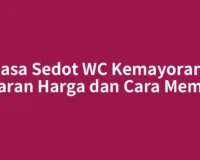 Jasa Sedot WC Kemayoran: Kisaran Harga dan Cara Memilih