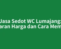 Jasa Sedot WC Lumajang: Kisaran Harga dan Cara Memilih