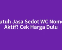 Butuh Jasa Sedot WC Nomor Aktif? Cek Harga Dulu
